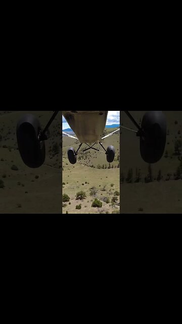 Off the edge!! #dive #airplane #wild