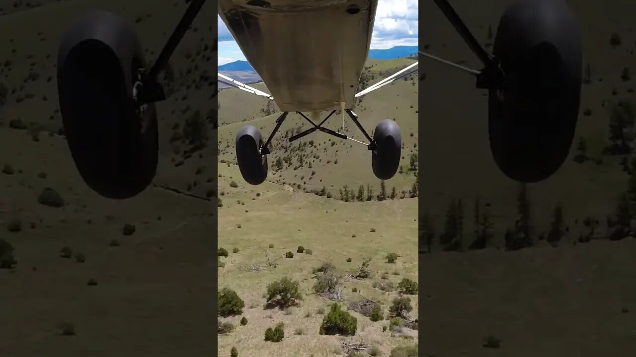 Off the edge!! #dive #airplane #wild