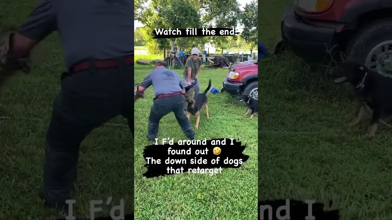 Work with dogs and get bit. I FA’d and I FO’d. 😏😂🤣