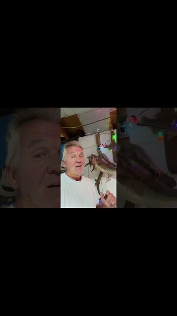 Hooked a Big Mouth Bass #largemouthbassfishing