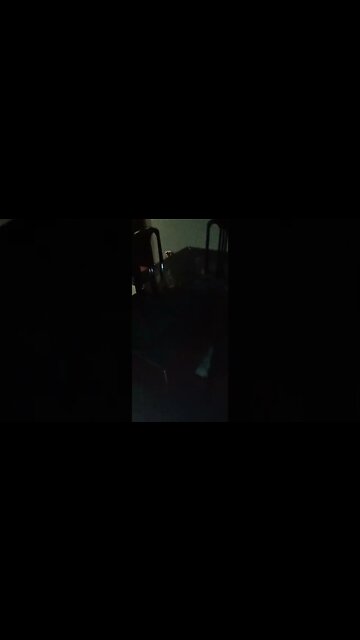 #dogshow , #animals , #dogs , #shorts