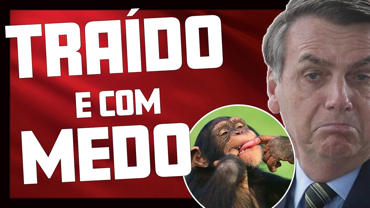 BOLSONARO FOI TRAÍDO E TEM MEDO!