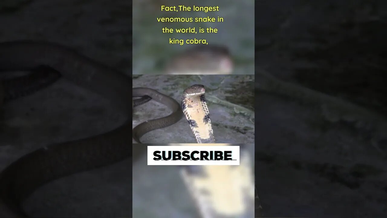 Amazing Facts you may not know #88