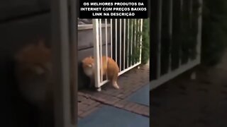 se comer mais um pouco não vai passar mais no portão