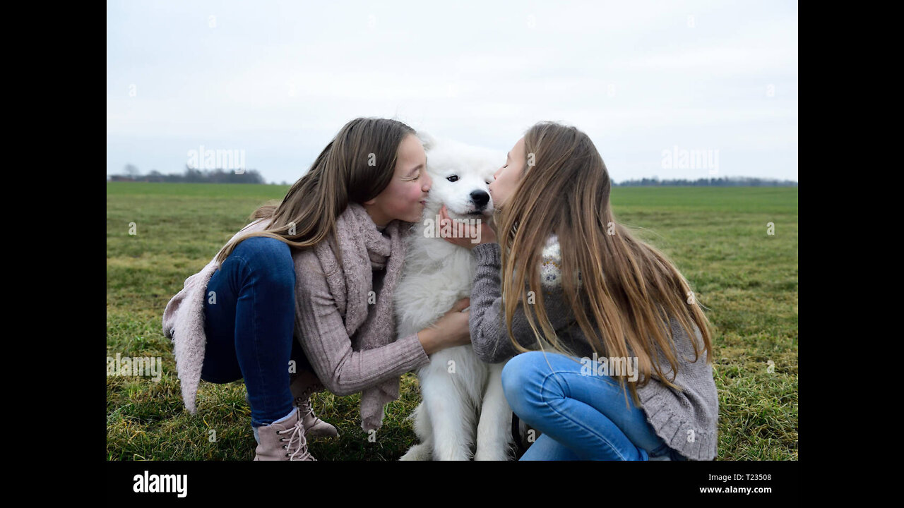 Two girls are in love with one dog