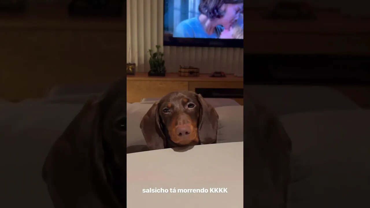 ele só na vontade