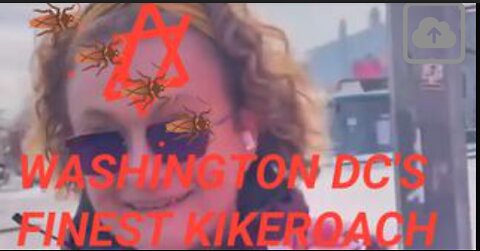 Washington DC's Finest Kikeroach