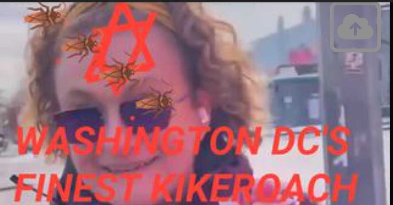 Washington DC's Finest Kikeroach