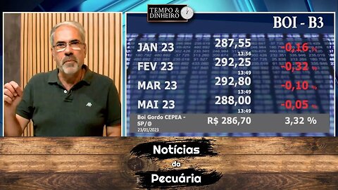 Boi está desanimado em um verdadeiro chove-não-molha de preços