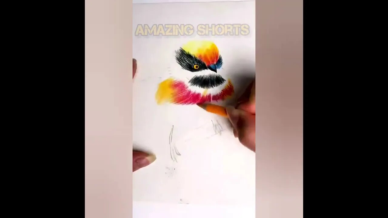 Amazing Drawing Work BIRD #shorts #short #drawing