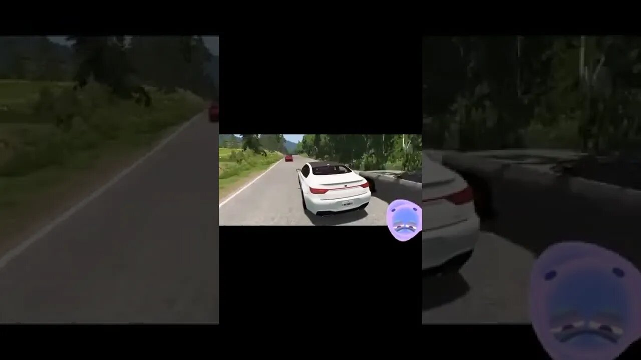 to the forest plantation / BeamNG DRIVE