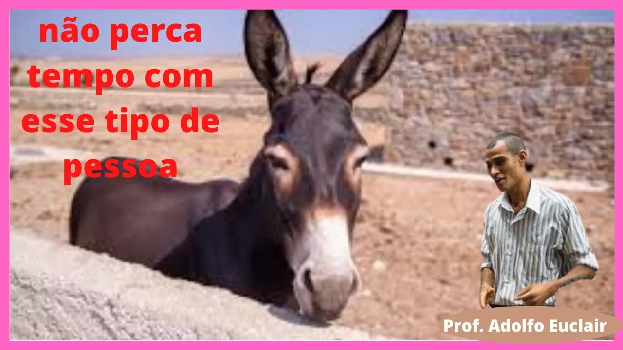 Como lidar com gente burra e preguiçosa