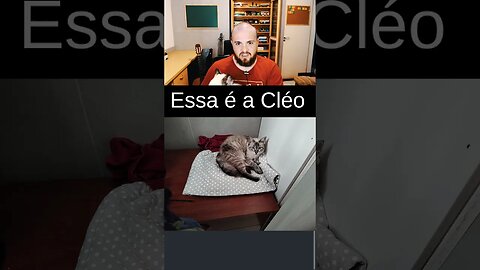 Eu tentando gravar [Episódio 15 - Cléo quer atenção. Quem diria!]