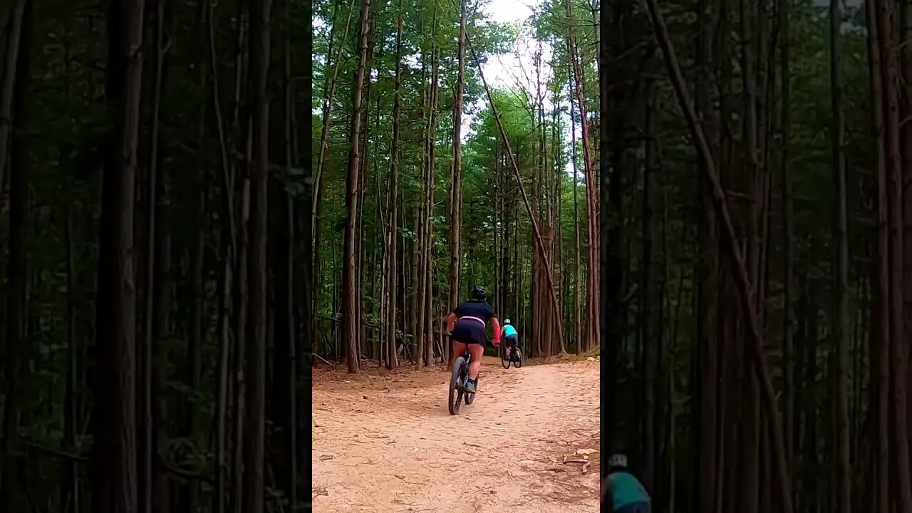 Lone Ranger - Kanuga Bike Park's Green Jump Line #shorts