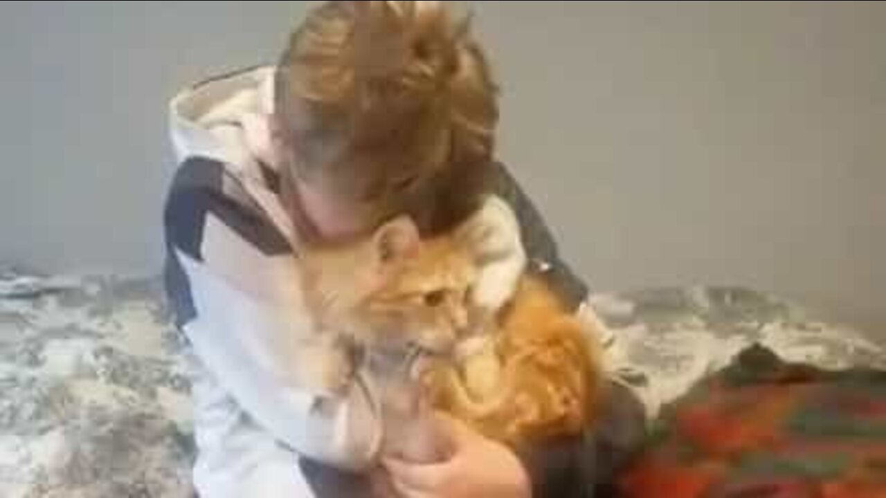 Un garçon retrouve son chat après une longue disparition