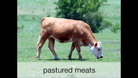 FUNDII07 About Pastured Meats | Original Fundamentals II eCourse Lesson 07