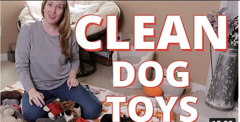 How To Clean Your Dogs Toys!