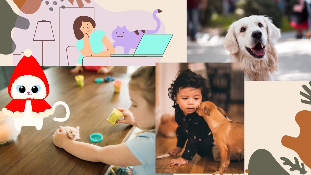 House Pets| Learning for kids