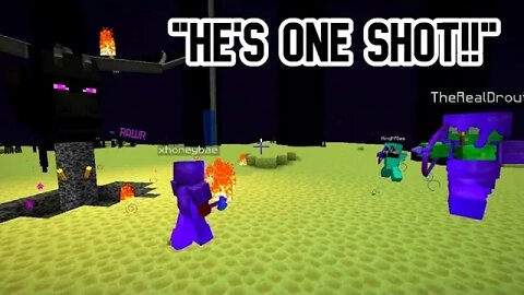 4 idiots fight the Ender Dragon...