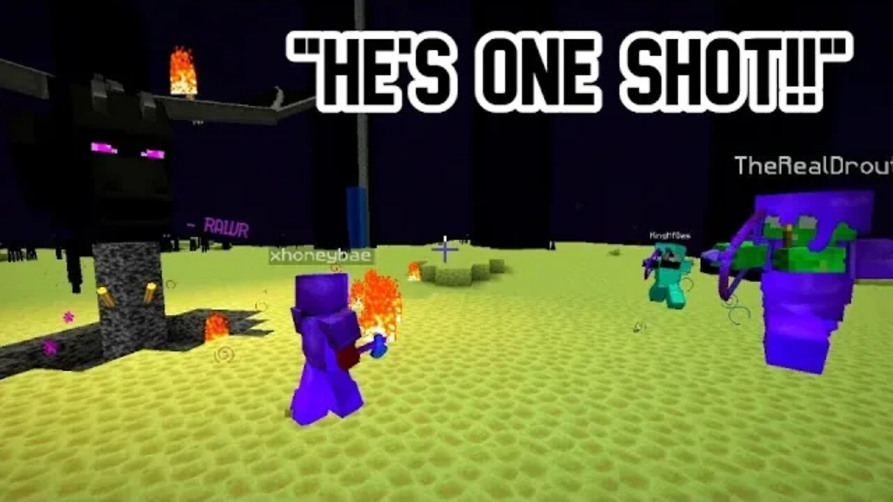 4 idiots fight the Ender Dragon...