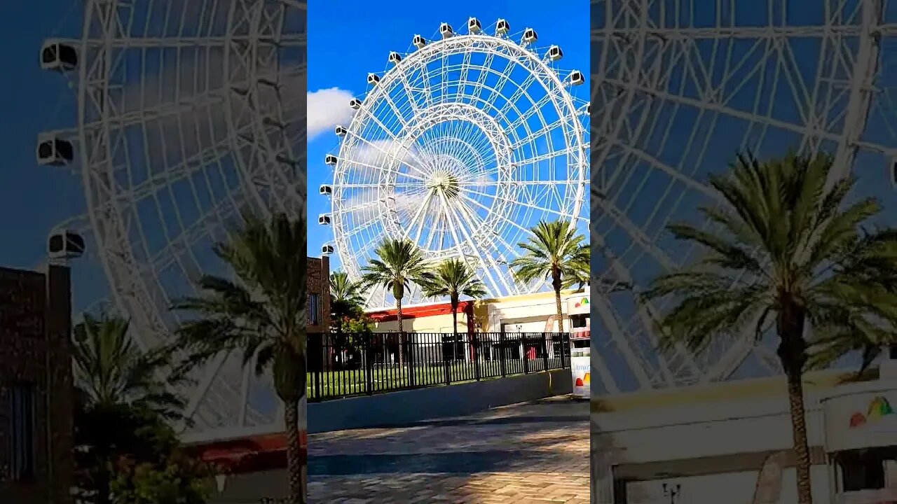 The Wheel at ICON Park #shorts