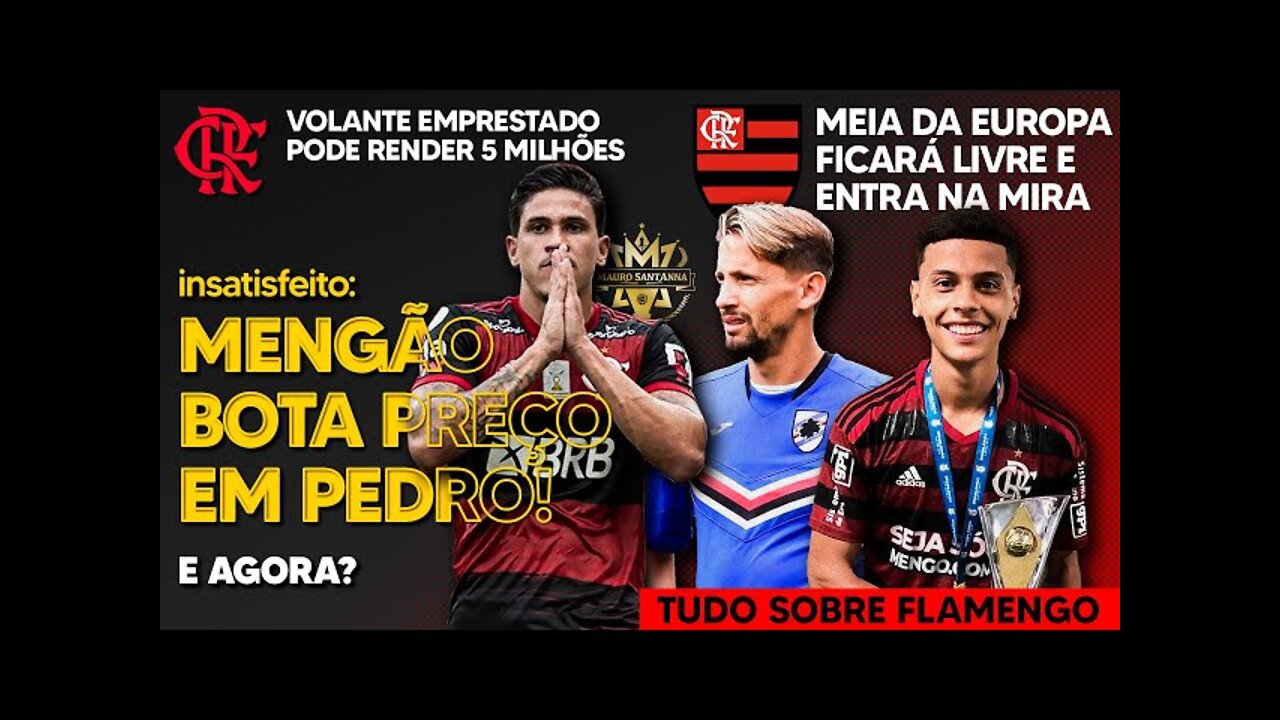 PEDRO: FLAMENGO ACEITA VENDER! MEIA DA EUROPA NA MIRA! 5 MILHÕES COM VOLANTE! JOGO NO PIAUÍ EM RISCO