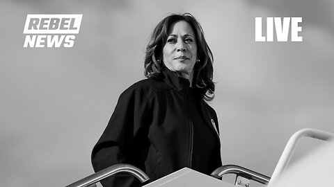 Kamala Harris delivers concession speech after losing to Trump