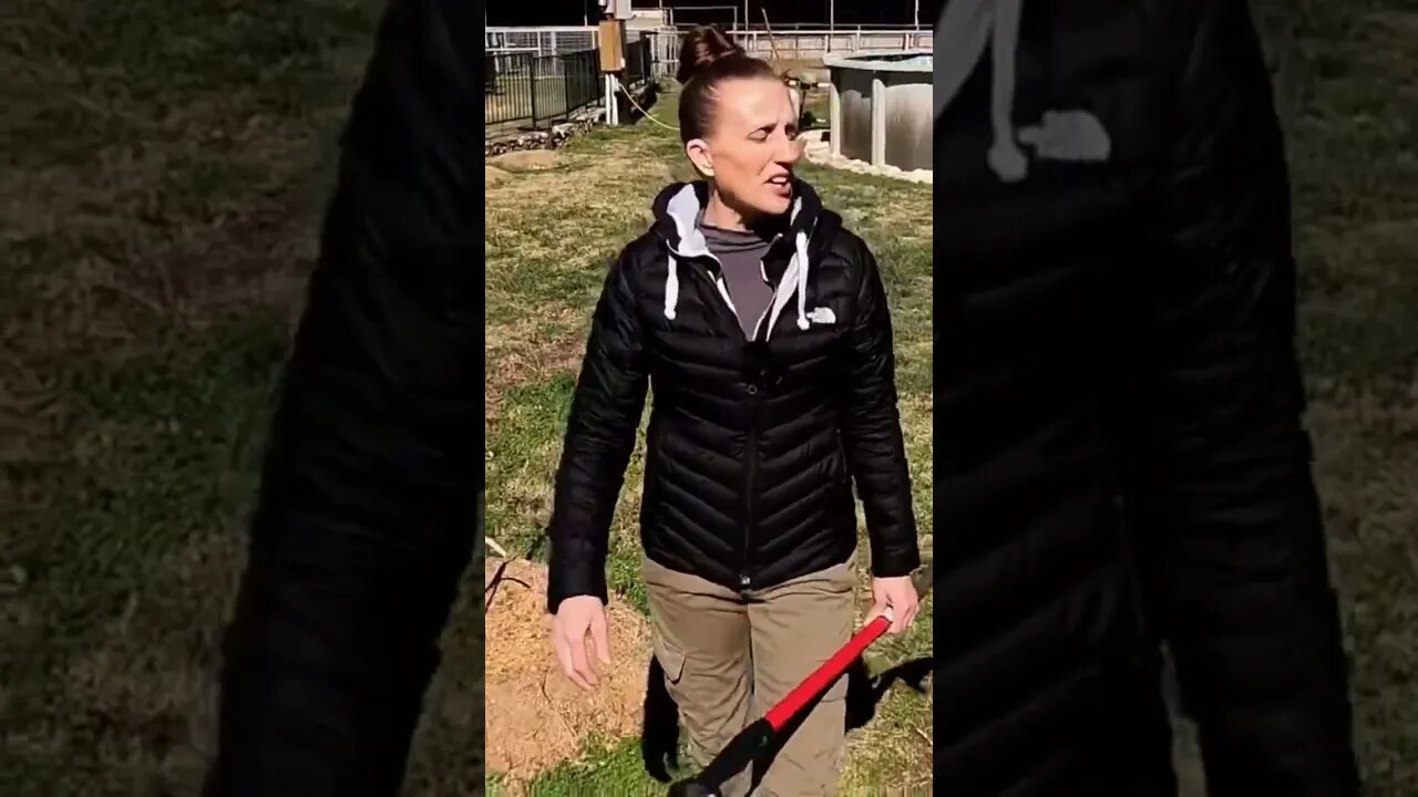 Letβs GO! ππ #shorts #viral #trending #tiktok #reels