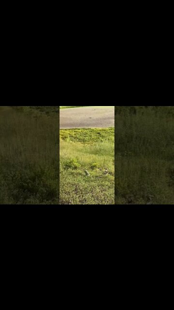 Texas Super Drought!