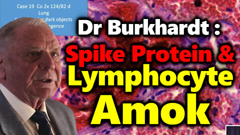 Expert Pathologist Dr Arne Burkhardt On Spike Protein & Lymphocyte AMOK After Vaccines & Other Finds