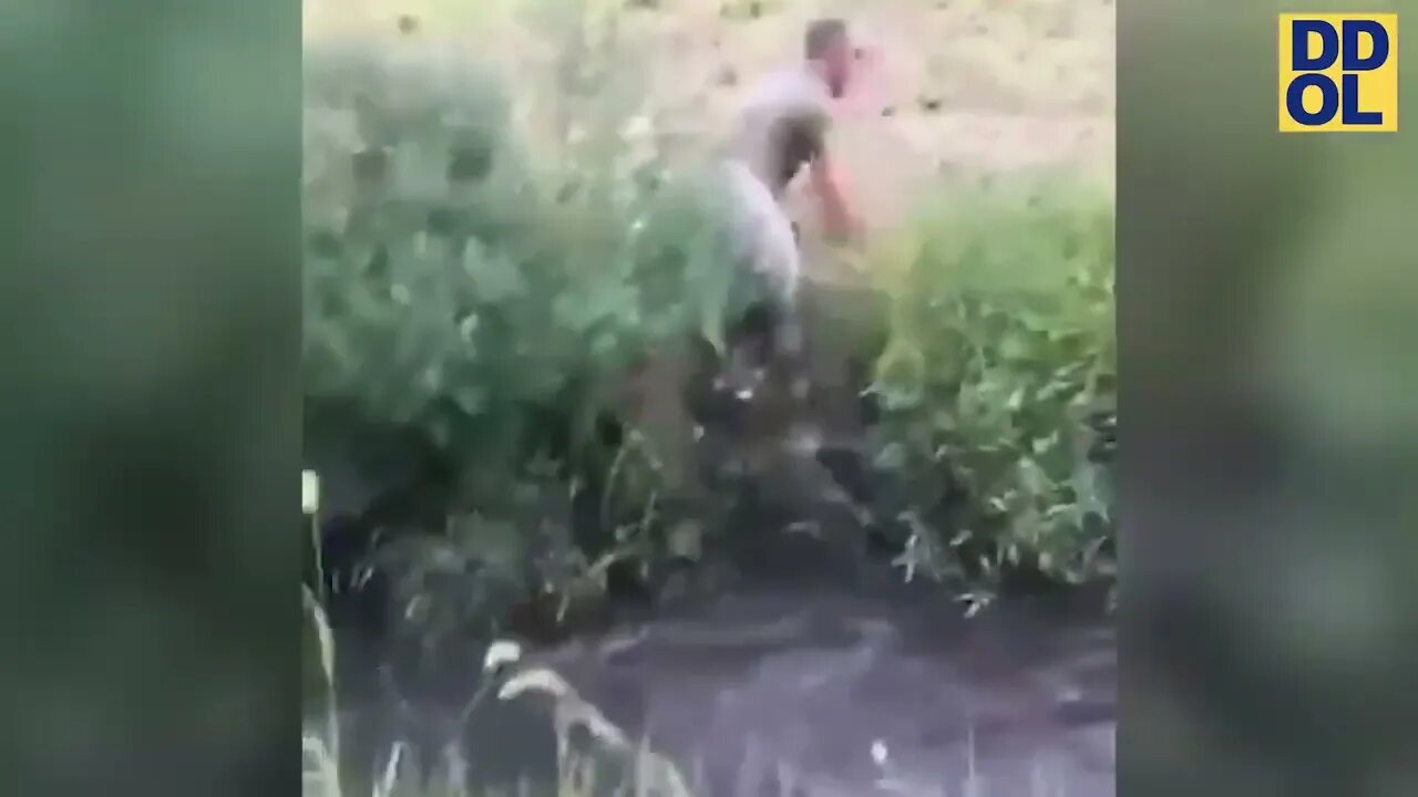 TRY NOT TO LAUGH WATCHING FUNNY FAILS VIDEOS
