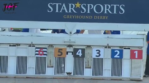 Greyhound dog racing - Track race 480m