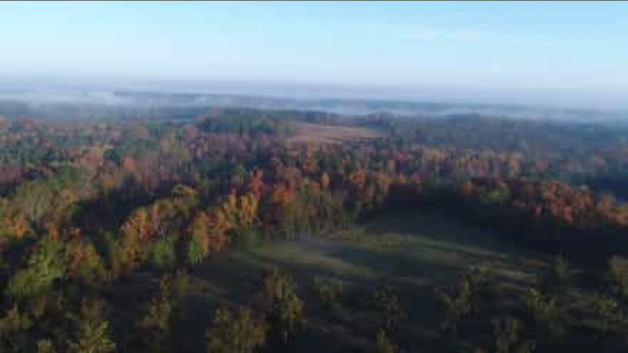 Drone mostra cores do outono em nevoeiro na Carolina do Sul