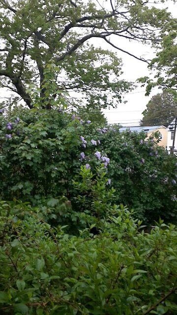 The End of a Rain Storm