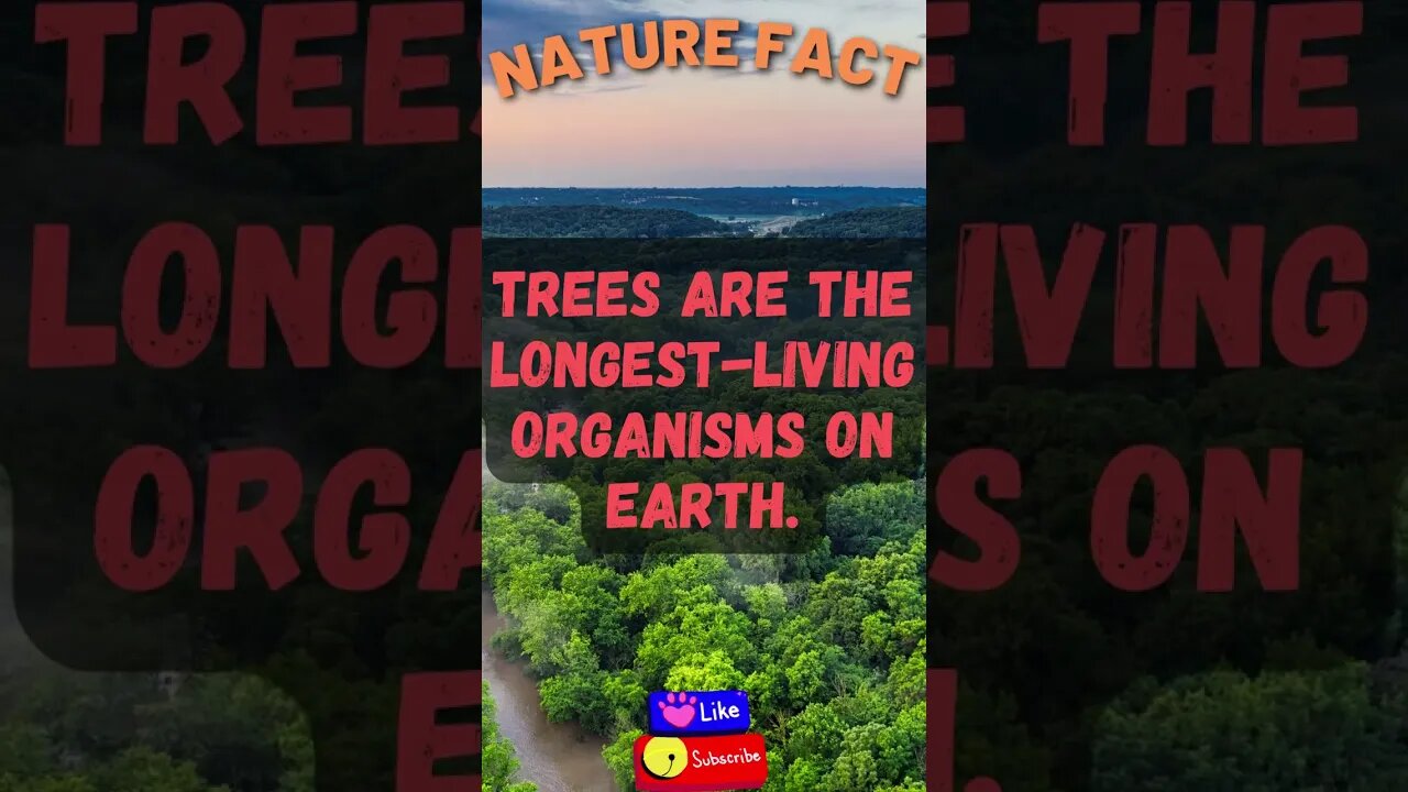 Discover Fascinating Nature Facts👀 #shorts #shortsfact #naturefacts #trees #treefacts