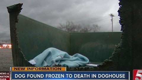 Dog Abandoned, Froze To Death In Doghouse