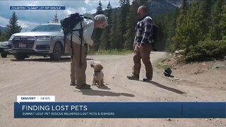 Finding lost pets in Summit County