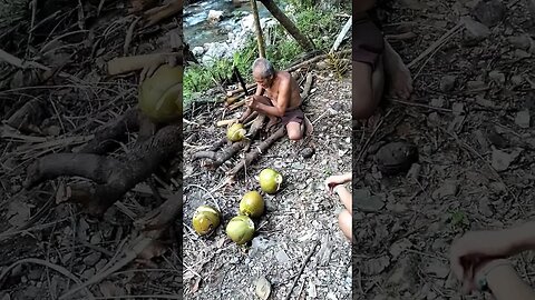 72 year old local climbed coconut tree and sold us some delicious coconuts #cahiligmountainresort