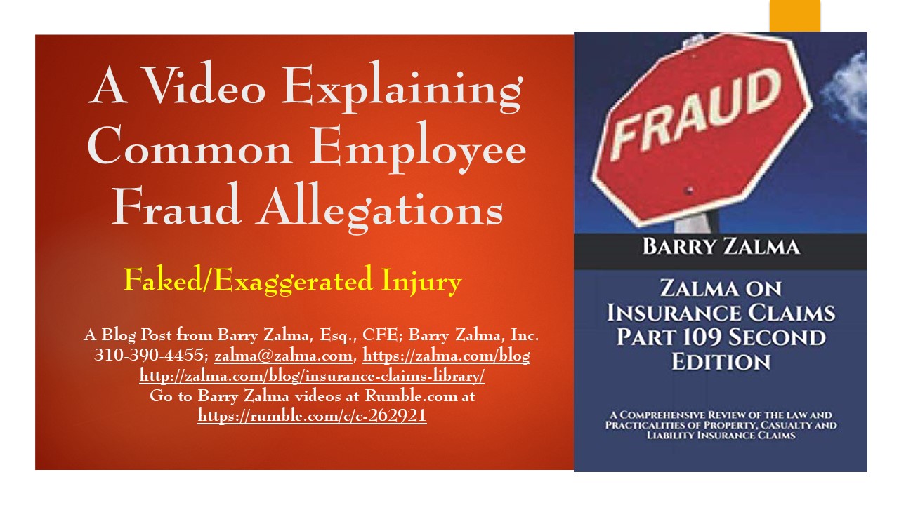A Video Explaining Common Employee Fraud Allegations