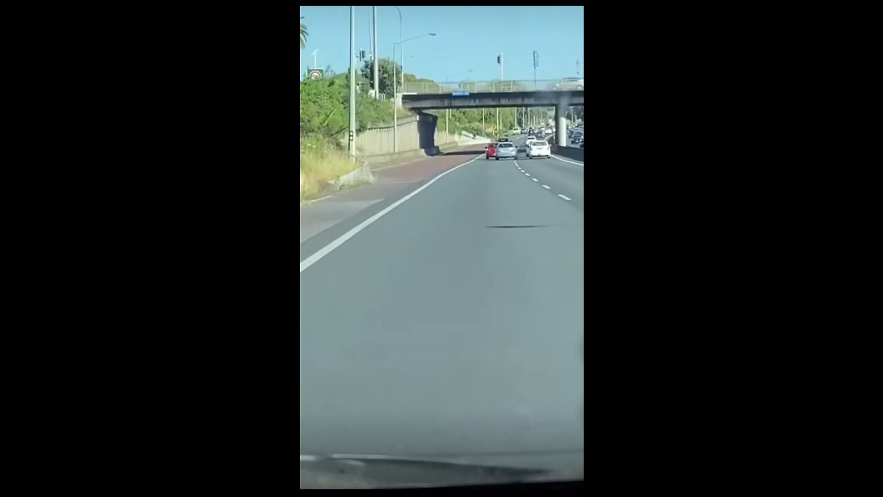 Funny Video #15