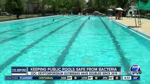 CDC: Crypto outbreaks linked to public pools double in 3 years