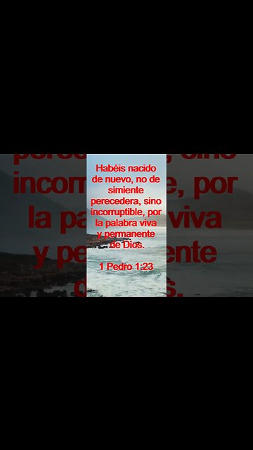 Verso Del Día | Lectura Inspiradora Para Empezar El Día. | 63