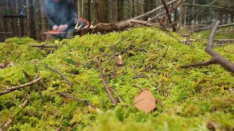 Forest Meatloaf "Cake" full of goodness ASMR Wilderness Cooking! NO TALK