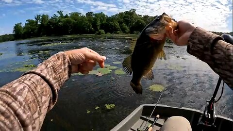 Post-Spawn Bass Fishing (Heavy Vegetation)