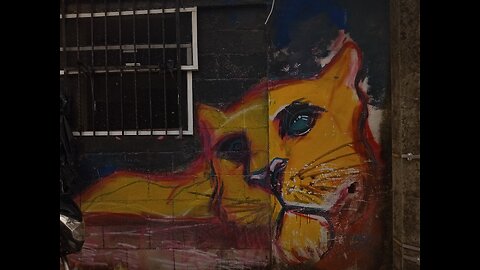 Playa Street Art Gata