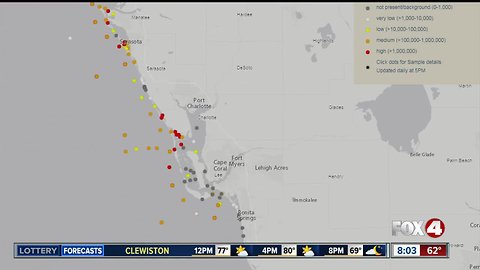 Red tide increasing near Boca Grande in mouth of Charlotte Harbor