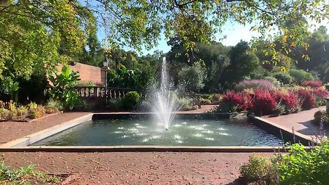 The Mansion Gardens At Dawn