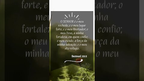 Uma Palavra Amiga para o seu dia, que Deus te abençoe! #shorts