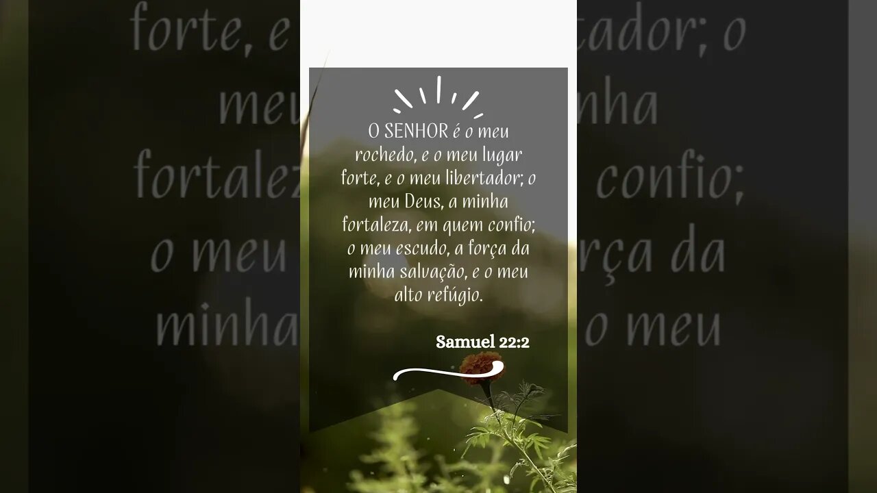 Uma Palavra Amiga para o seu dia, que Deus te abençoe! #shorts