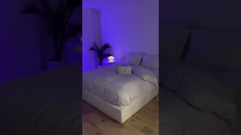 Apartment Tour Tiktok valerie sanders